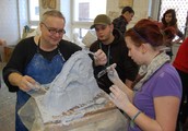 Czech teachers and students hep German students with molds