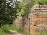 Cerveteri - nekropole Banditaccia